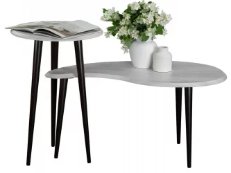 Стол в гостиную BeautyStyle 2 Дуб дымчатый/венге