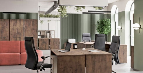 Экран настольный LEMO L-059-2 Таксония шоколадная