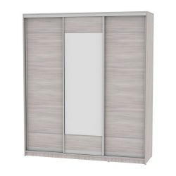 Шкаф-купе B-230х200х60-2(ЯШС-D7D8D7)