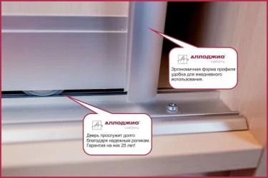 Шкаф-купе с фотопечатью Хит-23-14-77 Орхидея Ясень шимо светлый