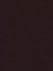 Диван-кровать Европа-1 Боннель