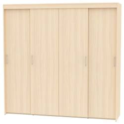 Шкаф-купе T-5-230х235х60(ДМ-9)