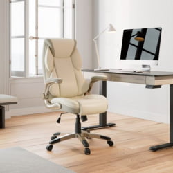 Эргономичное компьютерное кресло Еурека ОC11-ОВ, белое / Eureka OC11-OW,