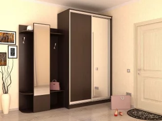 Шкаф-купе эконом Хит-24-17-15 Аруба Венге