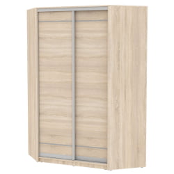 Шкаф-купе YA-230х1400-718-5(ДСС-D1D1)