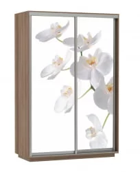 Шкаф-купе двухдверный Экспресс Дуо 1600х2400х Белая орхидея/Ясень шимо тёмный / 1600х2400h