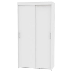 Шкаф-купе T-1-230х120х60(Белый-2)