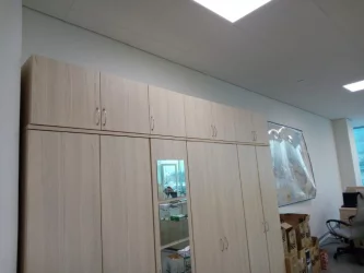 Настенный шкаф Twin 16.13.131 Туя