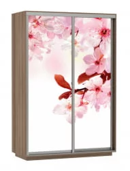 Шкаф-купе двухдверный Экспресс Дуо 1400х2200h Сакура/Ясень шимо тёмный
