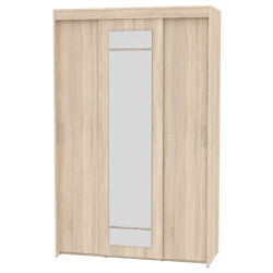 Шкаф-купе T-3-230х145х60-M(ДСС-9)