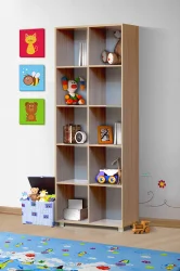 Шкаф-стеллаж ПМ-10 Юниор-6