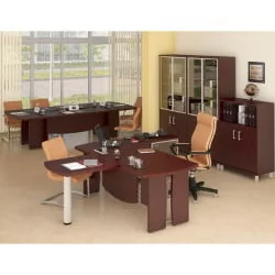 Кабинет руководителя БОРН набор 10 Орех Даллас