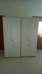 Шкаф высокий закрытый Glassy 6.19.131 Туя