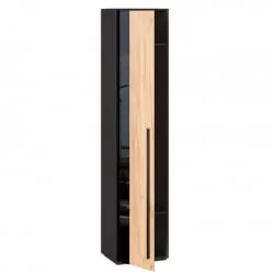 Шкаф одностворчатый Неаполь ЛД 134.030.000 Черный Дуб Золотой