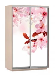 Шкаф-купе двухдверный Экспресс Дуо 1600х2200h Сакура/Дуб молочный