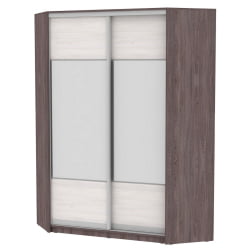 Шкаф-купе YA-198х1250-1(ЯАТ-ЯАС-D3D3)