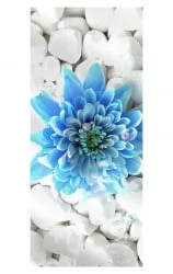 Шкаф в гостиную Хоп Шелф Арт Молочный дуб