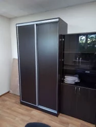 Шкаф-купе Рио-5 Венге