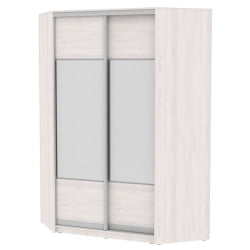 Шкаф-купе YA-230х1400-718-2(ЯАС-D3D3)