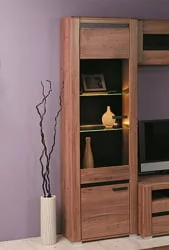 Шкаф для гостиной со стеклянными дверьми Б2