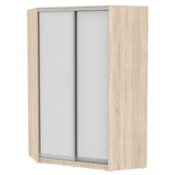 Шкаф-купе ЙА-230х1400-718-2(ДСС-Д5Д5) / YA-230х1400-718-2(ДСС-D5D5)