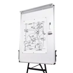 Доска-флипчарт магнитно-маркерная BRAUBERG 70х100 см