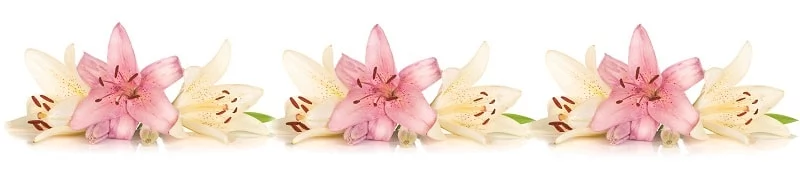 Глянцевый фартук (КОМПОЗИТ) KM 236