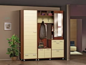 Прихожая Визит-11