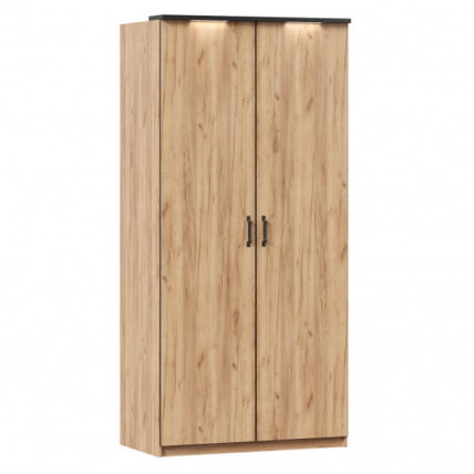 Шкаф двухстворчатый Техно ЛД 678.131.000.002 Дуб Золотой_0