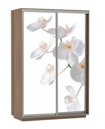 Шкаф-купе двухдверный Экспресс Дуо 1400х2200h Белая орхидея/Ясень шимо тёмный_0