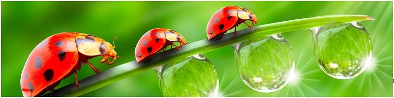 Глянцевый фартук (МДФ) AG 09_0