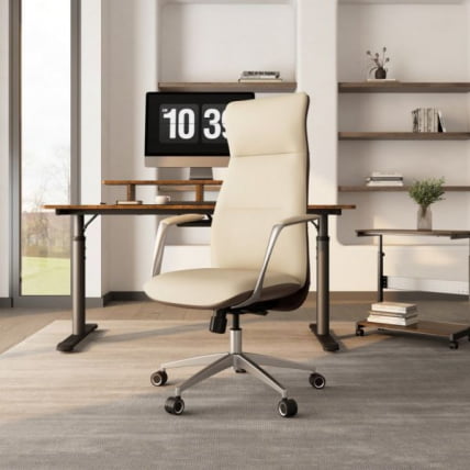 Эргономичное кресло руководителя Еурека ОC08-ОВ, белое / Eureka OC08-OW,_8