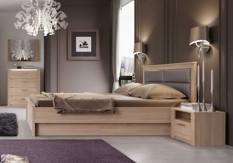 Кровать подъемная 1600 Элана №2 Дуб сонома/Ель карпатская_2