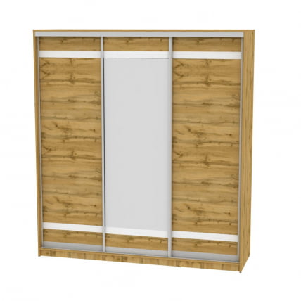 Шкаф-купе B-230х200х60-2(ДВ-D9D10D9)_0