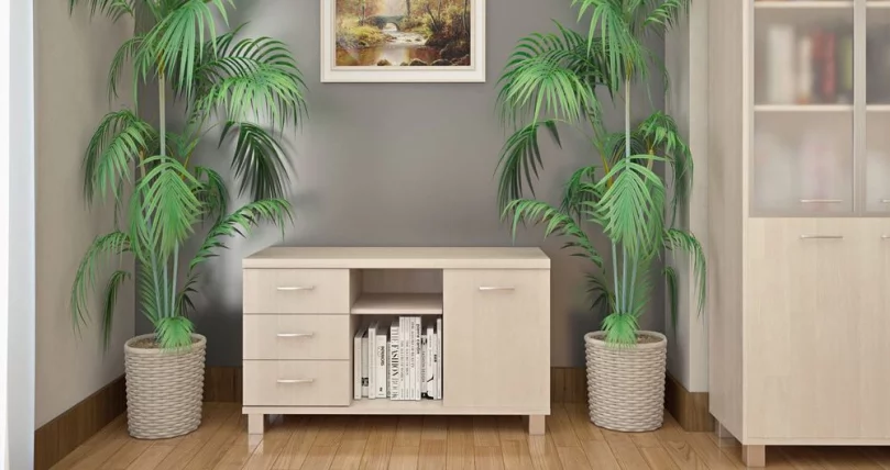 Кабинет First