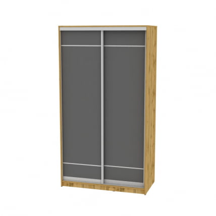 Шкаф-купе B-230х120х60-2(ДВ-Графит-D7D7)_0