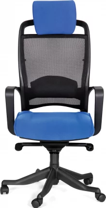 Кресло руководителя CHAIRMAN 283 Ткань 26-21_1