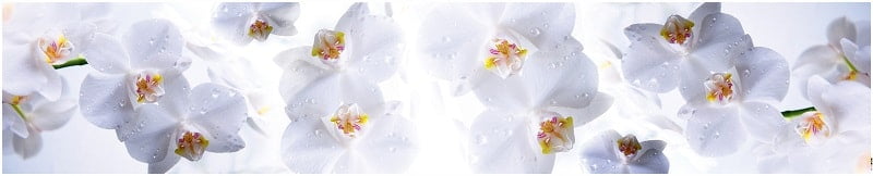 Глянцевый фартук (КОМПОЗИТ) KM 15_0