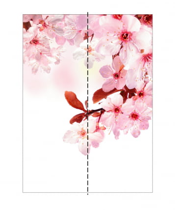 Шкаф-купе двухдверный Экспресс Хит Сакура/Дуб молочный_2