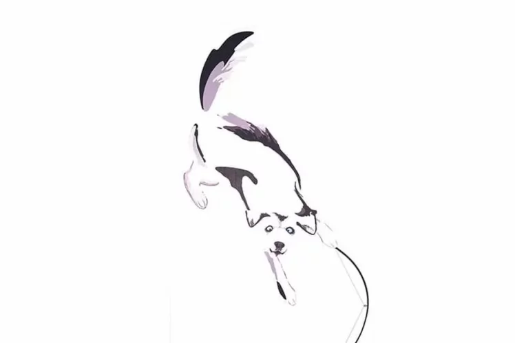 Шкаф для одежды Хаски 21 Дуб Ирландский Белый_6