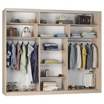 Шкаф-купе Б-220х270х60-1(ДСС-Д9Д10Д9) / B-220х270х60-1(ДСС-D9D10D9)_1