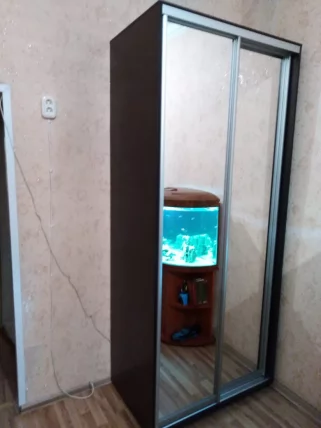 Шкаф-купе 2-х дверный Акцент-Сим З 1000х600 Венге_1