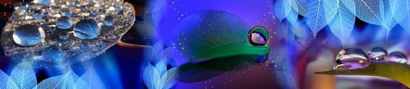 Глянцевый фартук с эффектом мерцания (КОМПОЗИТ) Листья_0