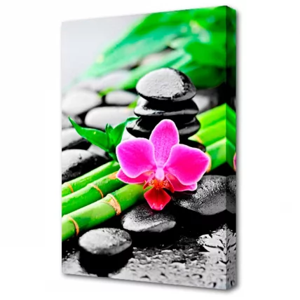 Холст Топлигхт Цветы ххсм ТЛ-Х3013 / Toplight TL-H3013_0