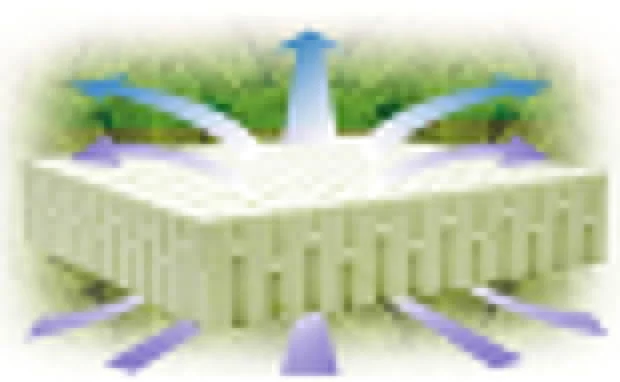 Наматрасник корректирующий Кокос+Латекс 80-190_6