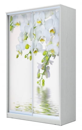 Шкаф-купе Хит-24-14-77 Орхидея Белая шагрень_0