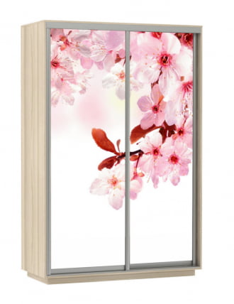 Шкаф-купе двухдверный Экспресс Дуо 1400х2200h Сакура/Ясень шимо светлый_0