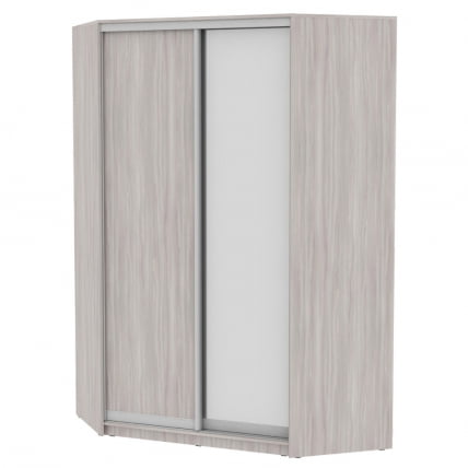 Шкаф-купе YA-230х1400-718-2(ЯШС-D6D5)_0