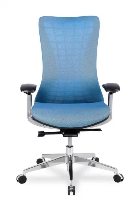 Кресло руководителя HLC-2588F/Blue_1