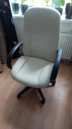 Кресло руководителя Бюрократ T-898/OR-10_6